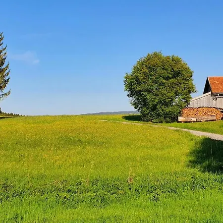 Dom wakacyjny Am Hochbergle Haus 36